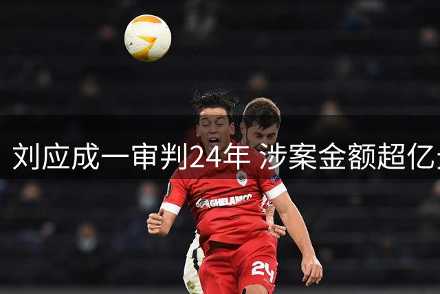 刘应成一审判24年 涉案金额超亿元