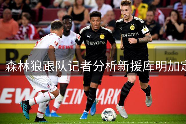 森林狼跟队记者分析新援库明加定位：或将主攻无球战术